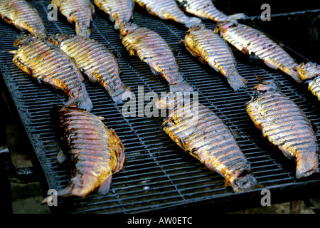 Pesci affumicati al Butley Orford Oysterage in Orford Suffolk East Anglia UK Foto Stock