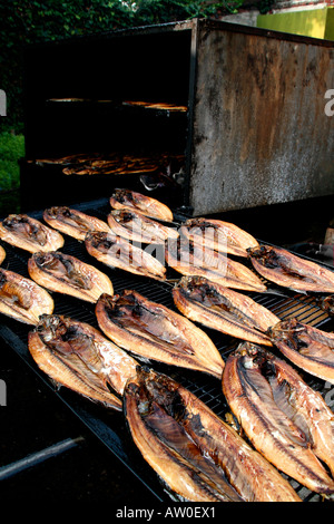 Pesci affumicati al Butley Orford Oysterage in Orford Suffolk East Anglia UK Foto Stock