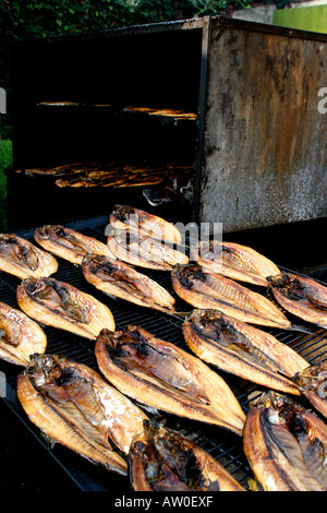 Pesci affumicati al Butley Orford Oysterage in Orford Suffolk East Anglia UK Foto Stock