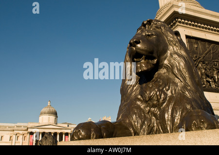 Lion in corrispondenza della base della colonna di Nelson, al tramonto in London Inghilterra England Foto Stock