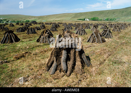 La torba "biologica" o taglio, regione del Connemara vicino a Clifden, nella contea di Galway, Connacht, Repubblica di Irlanda (Eire), Europa Foto Stock