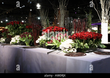 Porzione di display composta di mazzi di rose rosse color borgogna tulipani e grappoli di anemoni bianchi che giace alla base. Foto Stock