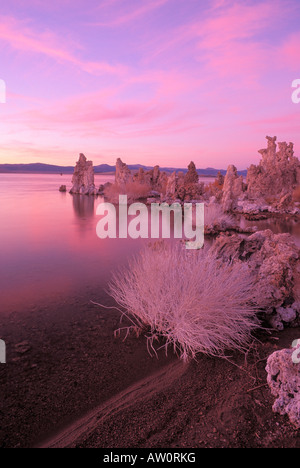 Luce della Sera su formazioni di tufo sulla riva sud del Lago Mono Mono Basin National Scenic Area California Foto Stock