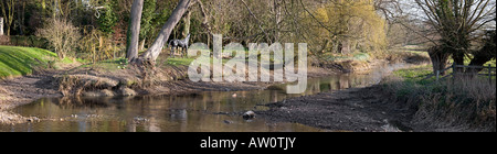 Grantchester meadows cambridgshire. Regno Unito Foto Stock