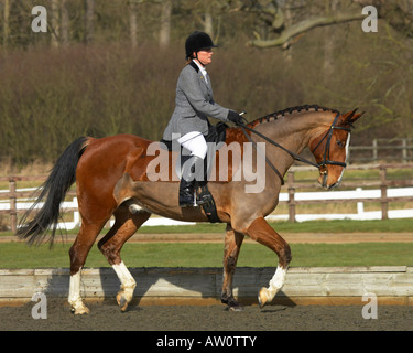 Horse rider di dressage concorrenza Foto Stock