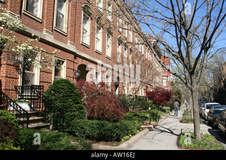 Xviii Street in Adams Morgan Washington DC Foto Stock