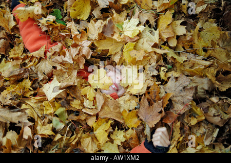 Nove-anno-vecchio ragazzo nascosto nel fogliame di autunno Foto Stock