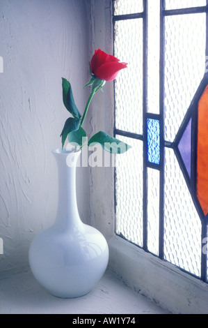 Red Rose in vaso bianco vicino a macchia di finestra in vetro Foto Stock