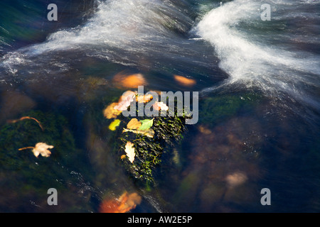 Il tardo autunno colori in ottobre sul fiume Rothay fluente in Grasmere Lake, il 'Lake District' Cumbria Inghilterra England Regno Unito Foto Stock