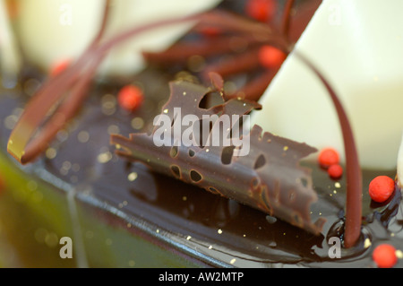 Torta al cioccolato su una piastra Foto Stock