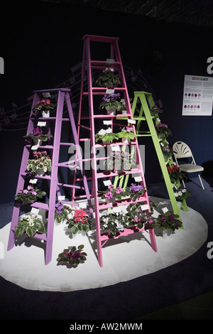 Vivacemente colorato passo scale in rosa viola e verde con violette africane sono visualizzati su ciascuna fase. Philadelphia flower show Foto Stock