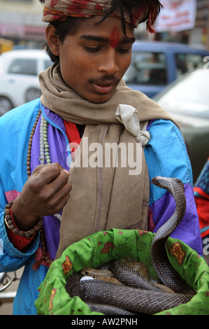 Un serpente incantatore guarda al suo Cobra snake nelle strade di Amritsar India Foto Stock