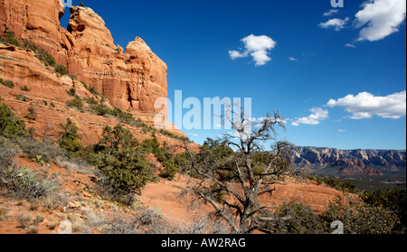 Rocce Rosse con vista di Sedona in Arizona Foto Stock