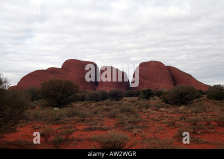 L'Olgas - Kata Tjuta - Monte Olga [Docker River Road, Uluru-Kata Tjuta National Park, il Territorio del Nord, l'Australia, Oceania]. Foto Stock