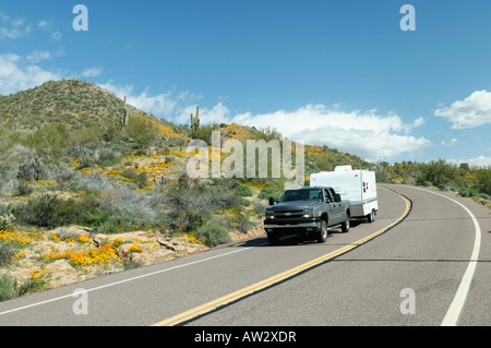 Carrello con un camper crociere del rimorchio verso il basso un Central Arizona strada durante un papavero di primavera fiorisce in 2008 Foto Stock