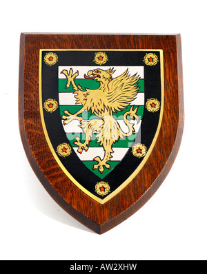 Downing College Shield Cambridge University in Inghilterra Foto Stock