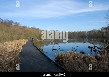 Piscina Fradley Riserva Naturale Fradley Junction, Alrewas, Burton-on-Trent, Staffordshire, England, Regno Unito Foto Stock