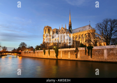 La cattedrale di Notre Dame e il fiume Senna in serata, Francia, Parigi Foto Stock