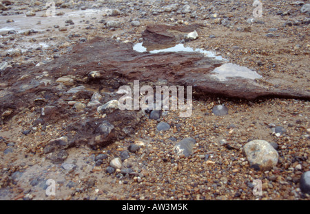 "Rupe Waybourne' deposito giacente sulla sommità del gesso della 'letti Cromerian', West Runton, Norfolk, Inghilterra, Regno Unito . Foto Stock