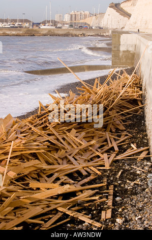 Il legname si è incagliata su una spiaggia. Foto Stock