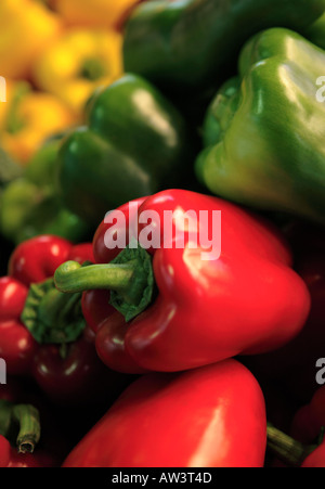 Rosso, Verde e peperoni gialli su una fase di stallo nel mercato La Boqueria, Barcellona, Spagna Foto Stock