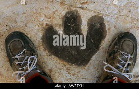 Orme di dinosauri a Tambuc, Spagna. Foto Stock