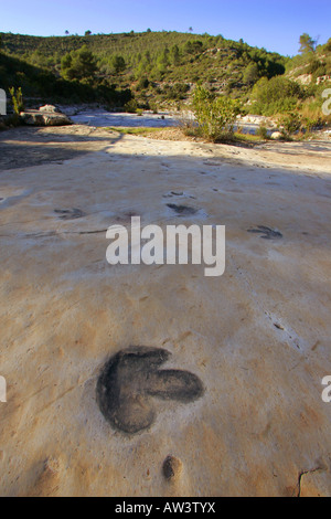 Orme di dinosauri a Tambuc, Spagna. Foto Stock