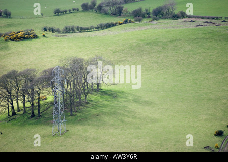 Pilone di elettricità in un campo Foto Stock