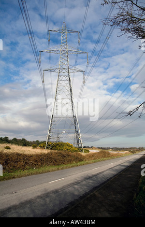 Tralicci di energia elettrica di alimentazione dalla centrale nucleare di Sizewell B sulla costa di Suffolk sulla costa est della Gran Bretagna Foto Stock