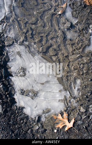 Modelli in forma di ghiaccio e fango su una strada sterrata quando le temperature aumentano e cadere causando lo scongelamento e il congelamento di acqua come si avvicina a molla Foto Stock