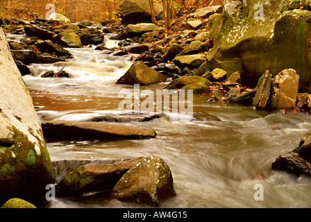 Il Cedar Creek scorre rapidamente attraverso la Petit Jean State Park vicino Morrilton, Arkansas Foto Stock