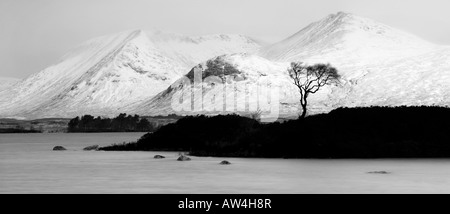 Tempestoso inverno mattina sul Lochan na h-Achlaise, Rannoch Moor, Scotland, Regno Unito Foto Stock