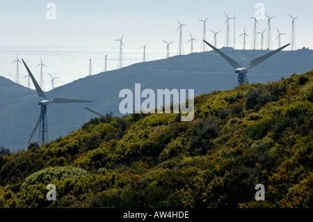 Campo di mulini a vento la turbina di potenza vicino a tarifa Foto Stock