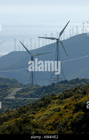 Campo di mulini a vento la turbina di potenza vicino a tarifa sulla E5 N340 autostrada Foto Stock