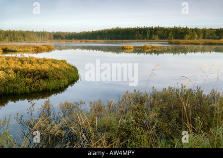 Sunrise rivolta ad ovest su un lago Seawall naturale Parco Nazionale di Acadia nel Maine USA Foto Stock