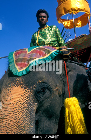 Rievocazione storica, scena di battaglia, epico dramma, elefante visualizza, Samphran Elephant Terra e Zoo, Nakhon Pathom, provincia di Nakhon Pathom, Thailandia, Asia Foto Stock