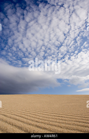 Idilliaca spiaggia incontaminata e nuvoloso cielo blu Foto Stock