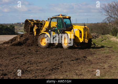 JCB 530 movimentatore telescopico concime di caricamento per spargimento del concime organico Foto Stock