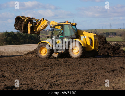 JCB 530 movimentatore telescopico concime di caricamento per spargimento del concime organico Foto Stock