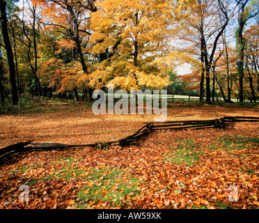 Recinzione in legno in Morristown naturale Parco Storico New Jersey Stati Uniti d'America Foto Stock
