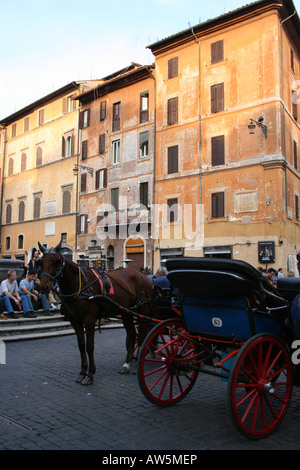 I Cavalli in Piazza Navona, Roma, Italia Foto Stock