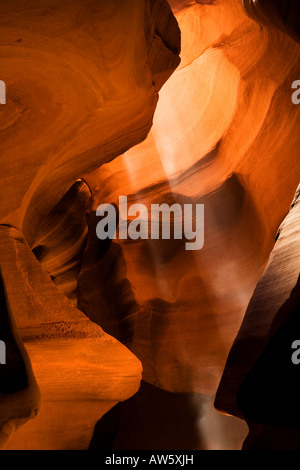 Slot Antelope Canyon formato da acqua di inondazione azione nella Riserva Navajo page Arizona USA Foto Stock