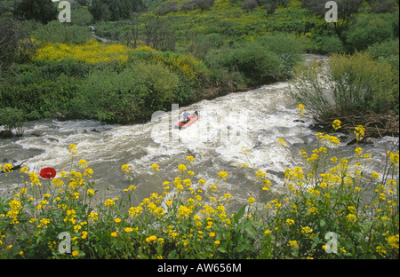 Un kayaker gode di rafting delle acque bianche sul Fiume Giordano nella Grande Rift Valley Foto Stock