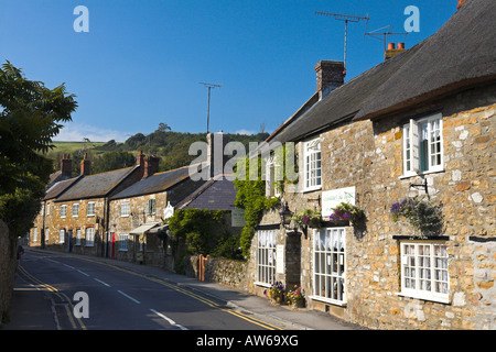 Cottage tradizionale lungo la corsia, Abbotsbury, Dorset Foto Stock