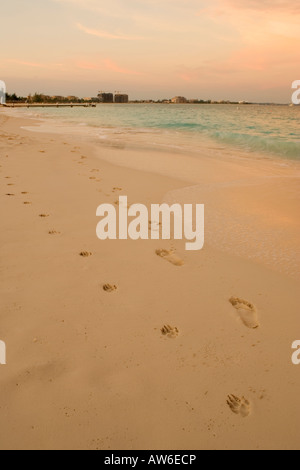 Orme di uomo a camminare cane sulla deserta spiaggia sabbiosa in Turks e Caicos all'alba Foto Stock