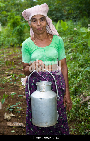 Signora portante urna di tè, Mundackal station wagon, Kothamangalam, Kerala, India Foto Stock