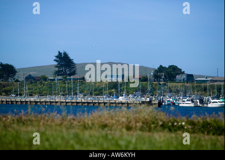 Marina vista dalla baia, Bodega Bay, CALIFORNIA, STATI UNITI D'AMERICA Foto Stock