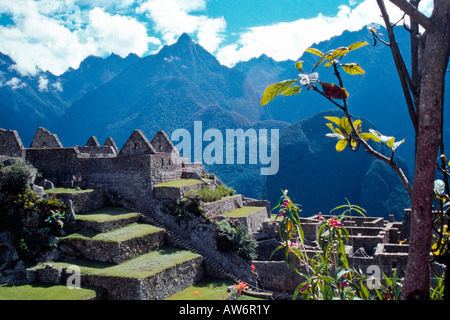 Machu Picchu, Perù, Sud America, pre-colombiano sito storico Foto Stock