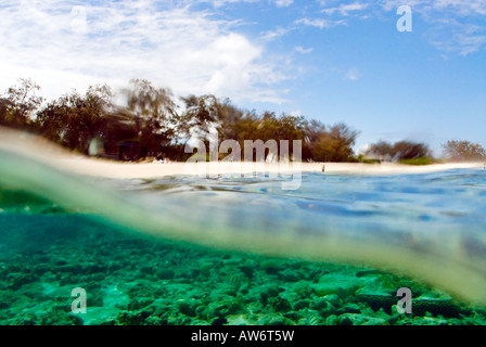 Parte riprese subacquee di Lady Elliot Island sulla Grande Barriera Corallina in Australia Queensland Foto Stock