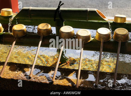 Siviere su una fontana di purificazione (chōzubachi) a Kamakura JP Foto Stock